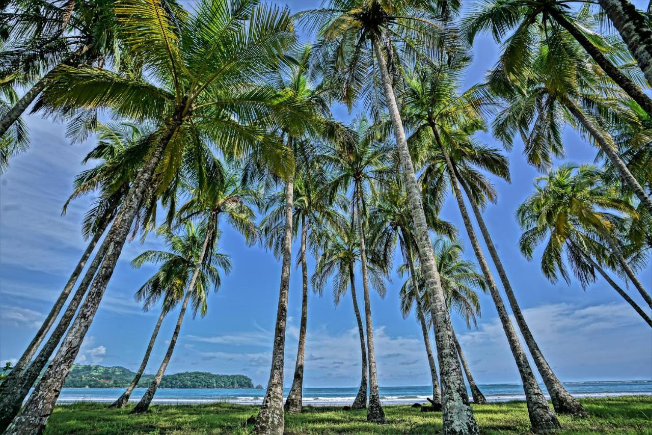 Nammbú Front Hotel